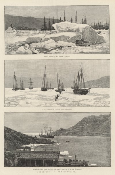 Sketches in Newfoundland by Amedee Forestier